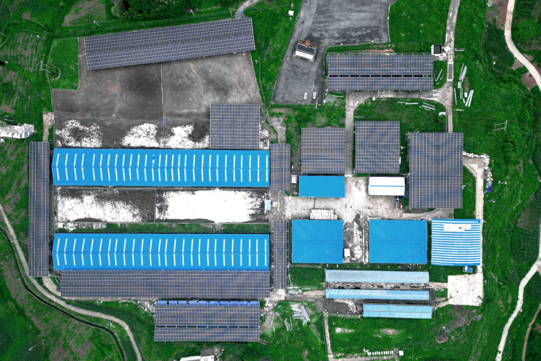 20240827ebebcd9ebf7d425c8e7c6329dcd7a9d3