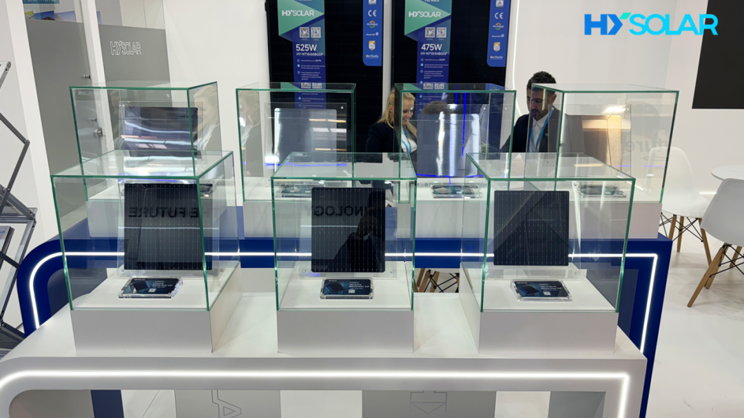 202505096a01a52013c643f79f99379bf89986b3