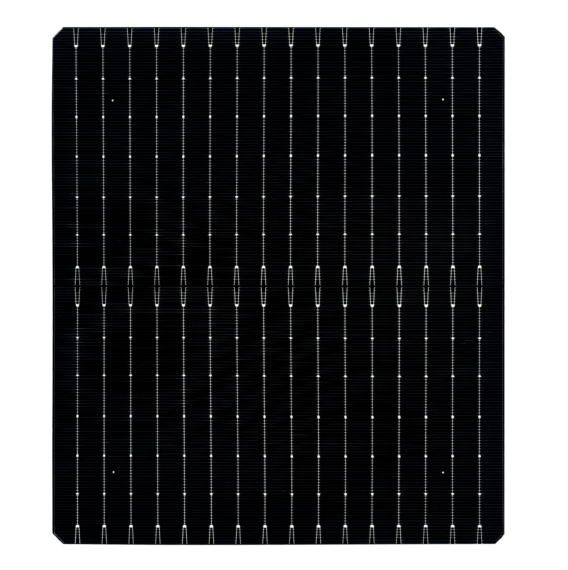 1823x210-da022a18a79141ddafd5b6ee8d5214ed